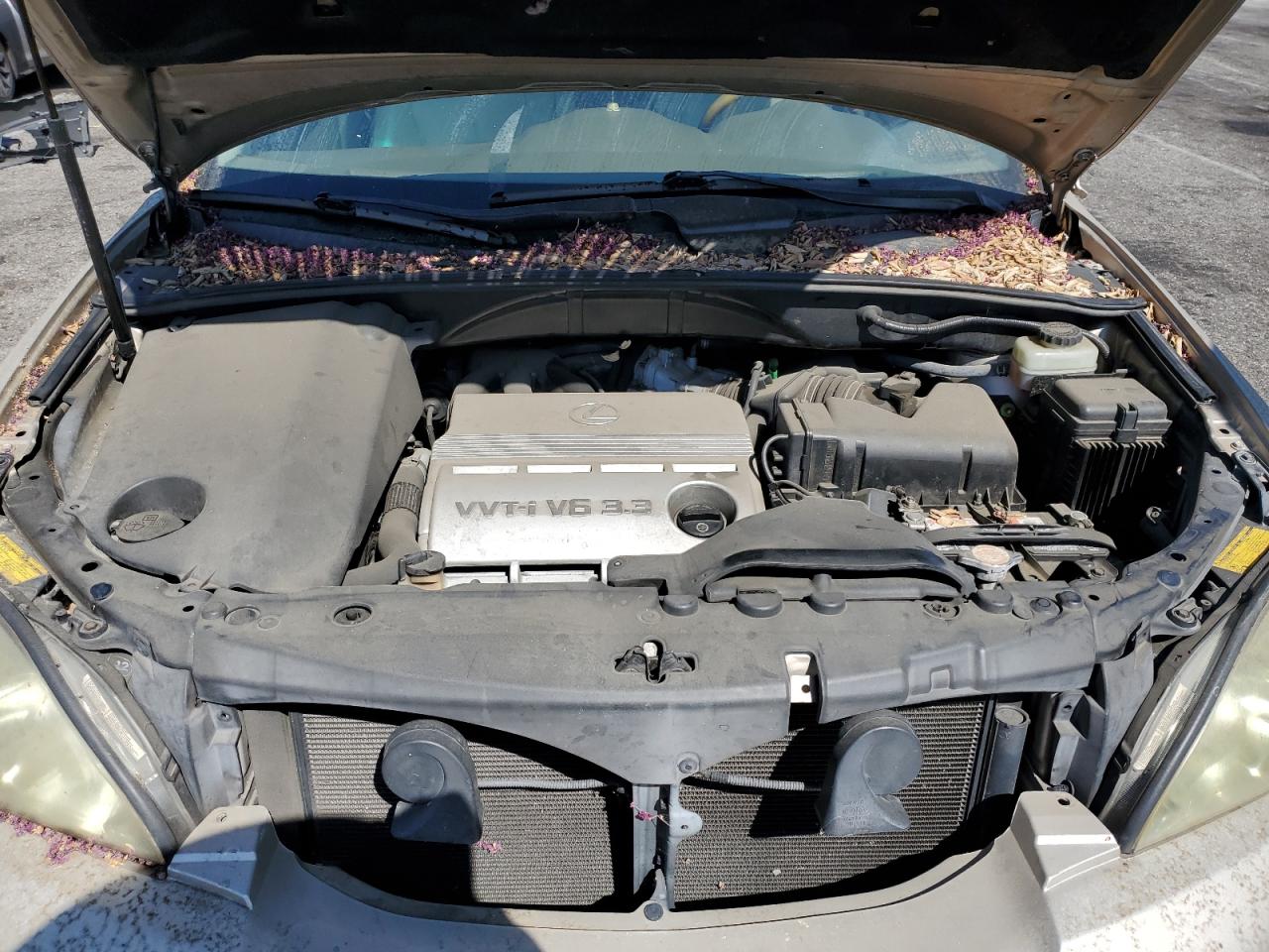 Lexus RX 330 Image 8