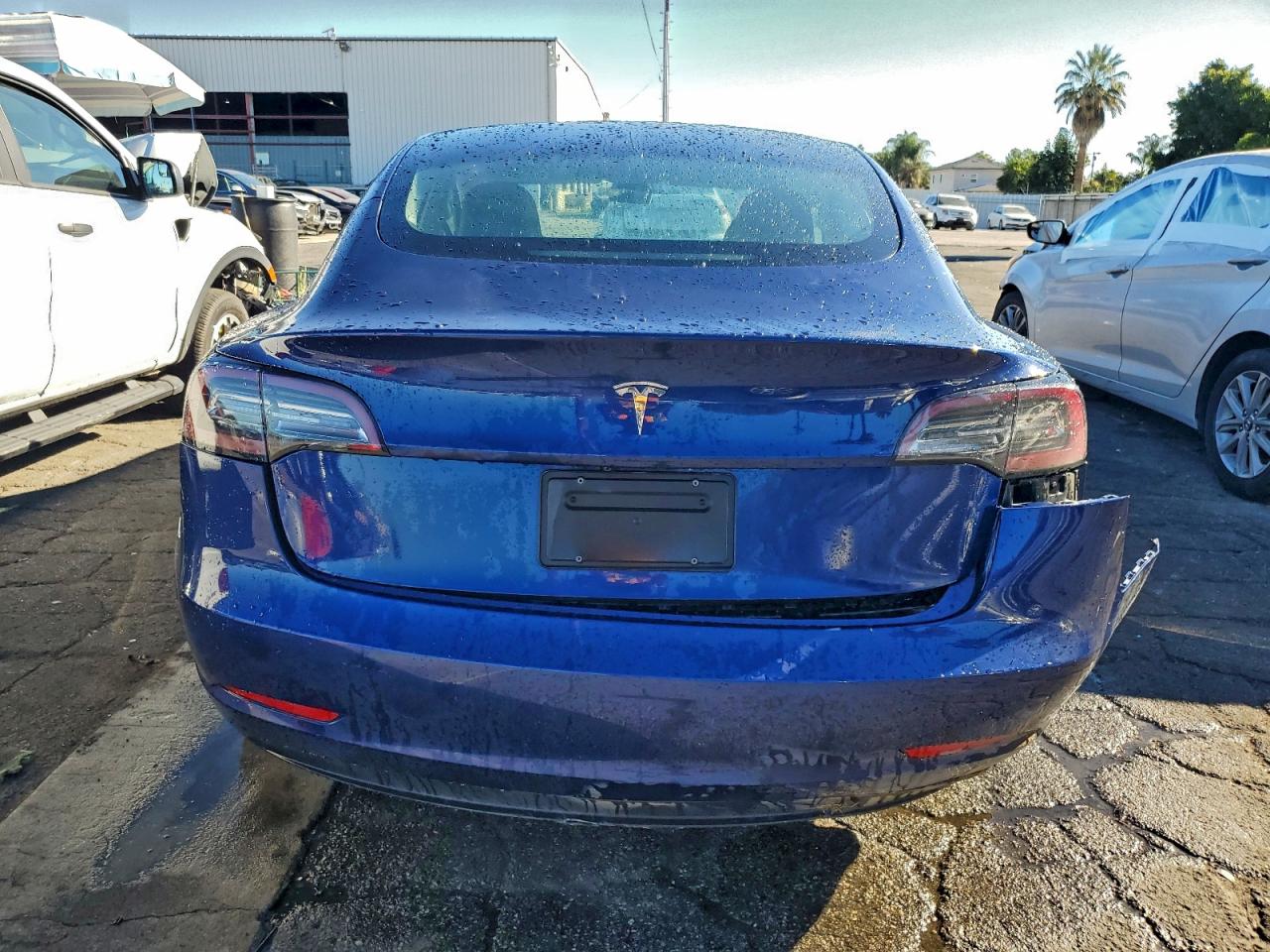 Tesla Model 3 Image 10