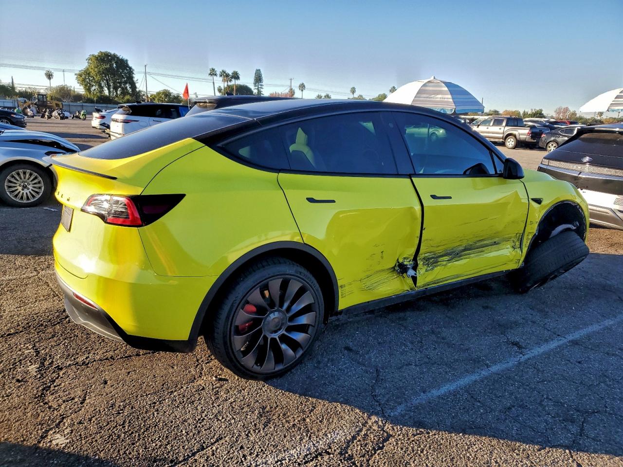 Tesla Model Y Image 3
