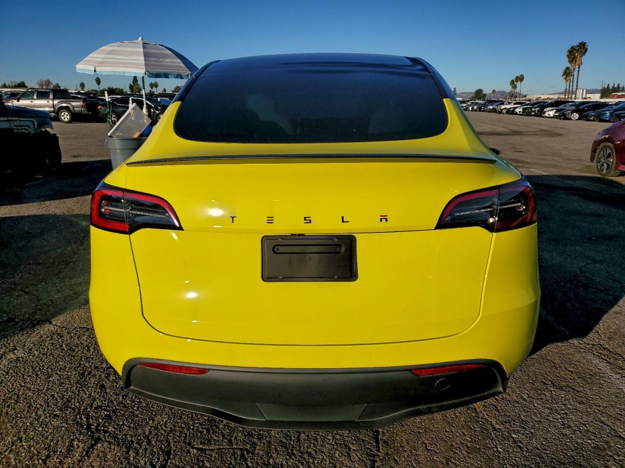 Tesla Model Y Image 11