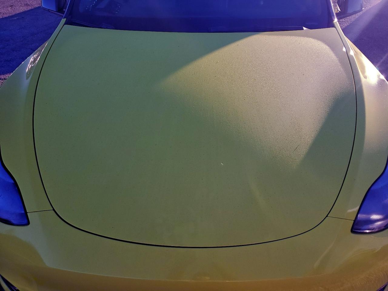 Tesla Model Y Image 9