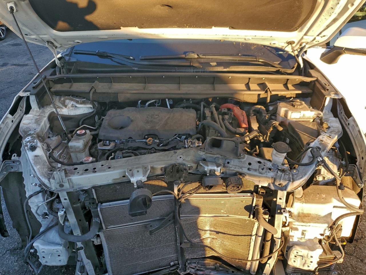 Toyota Highlander Hybrid Bronze Edition Image 13