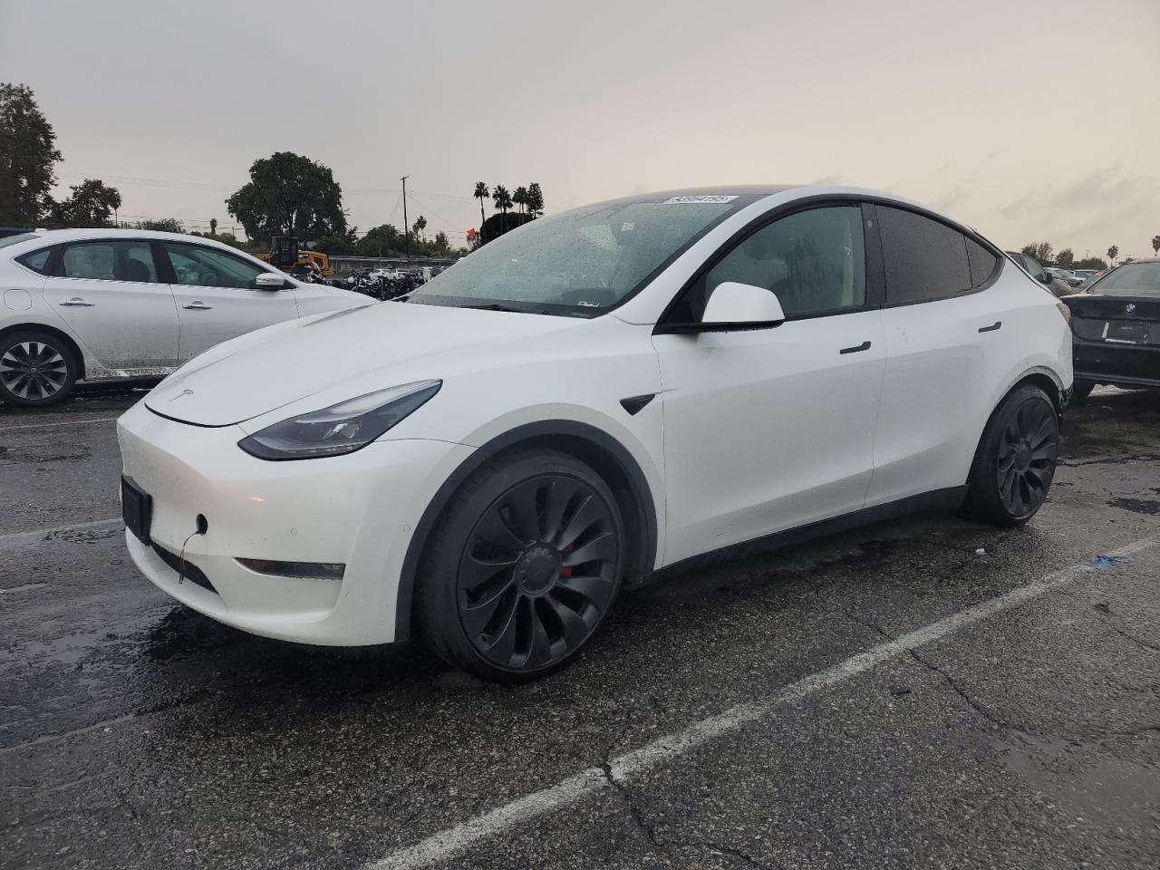 Tesla Model Y Image 1