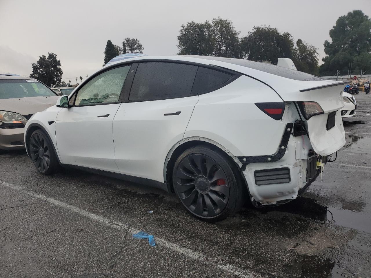 Tesla Model Y Image 13
