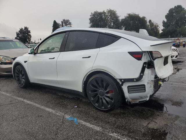 Tesla Model Y Image 13