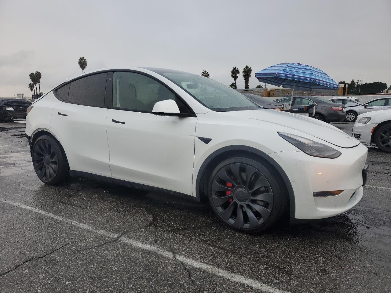 Tesla Model Y Image 5