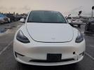 Tesla Model Y Image 3