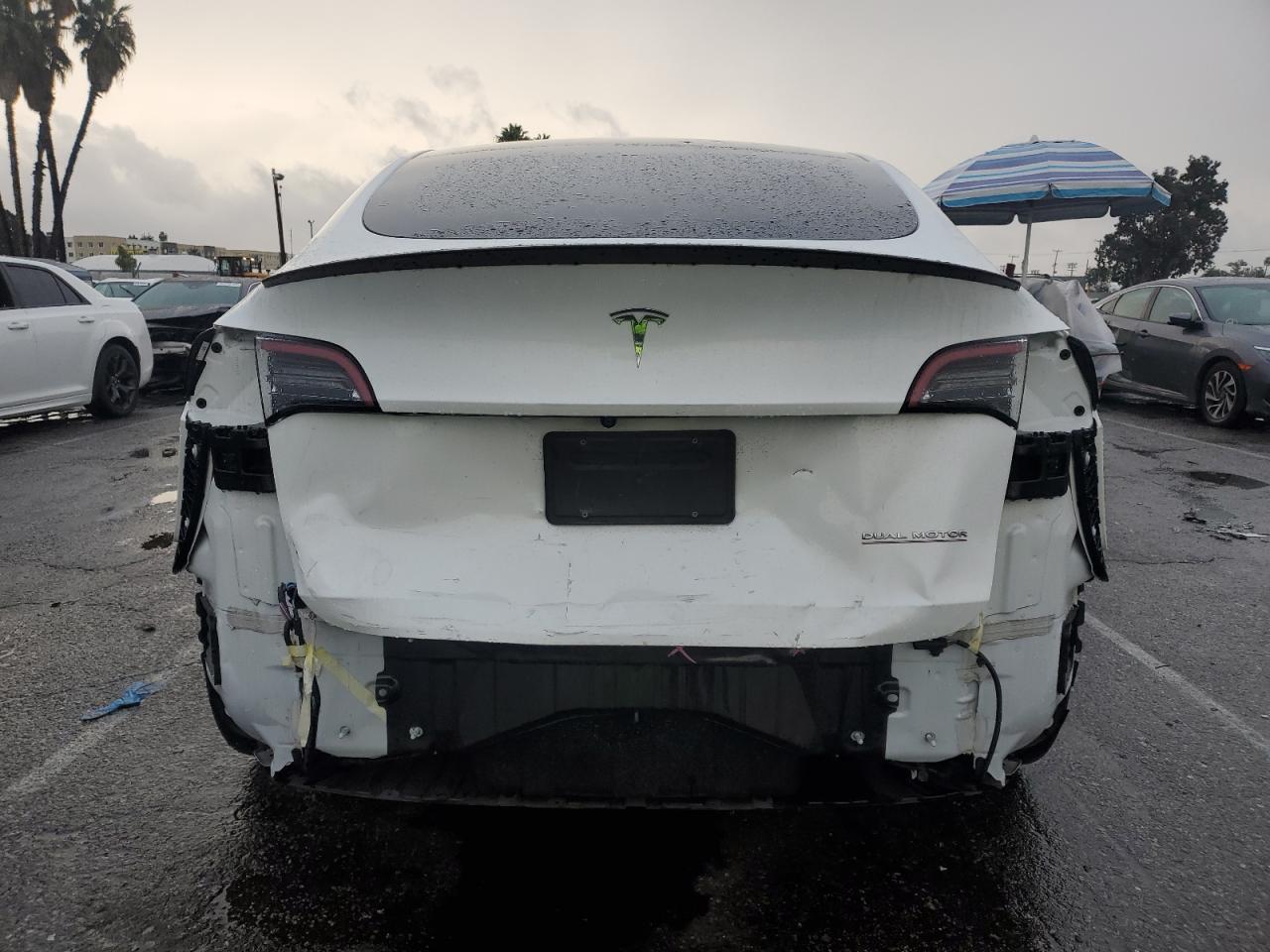 Tesla Model Y Image 4