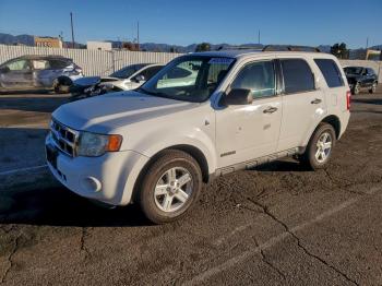  Salvage Ford Escape