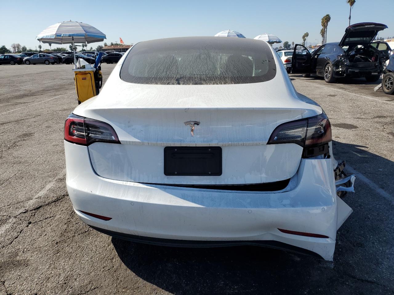 Tesla Model 3 Image 12