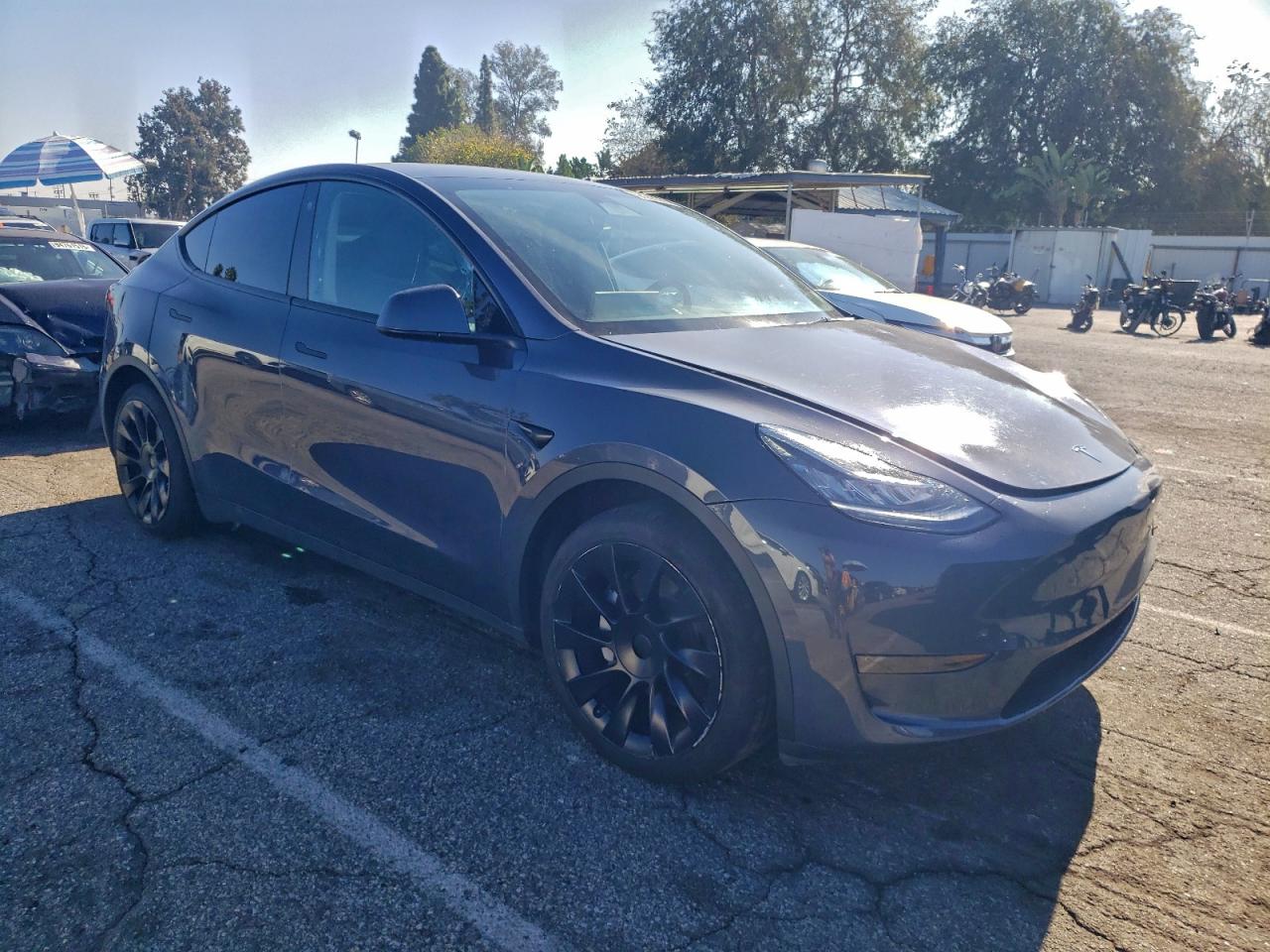 Tesla Model Y Image 11