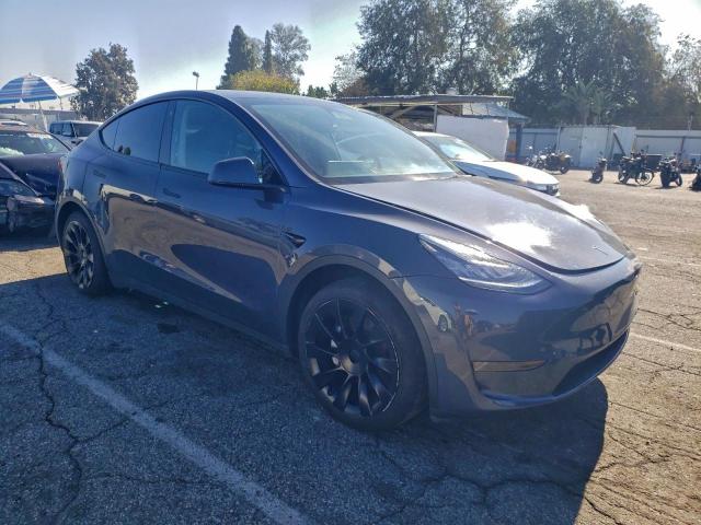 Tesla Model Y Image 11