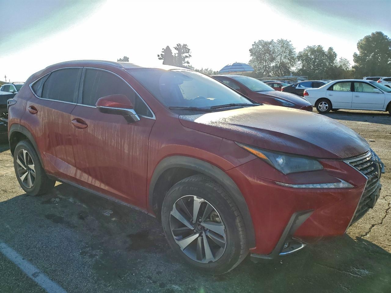 Lexus NX 300 Image 4