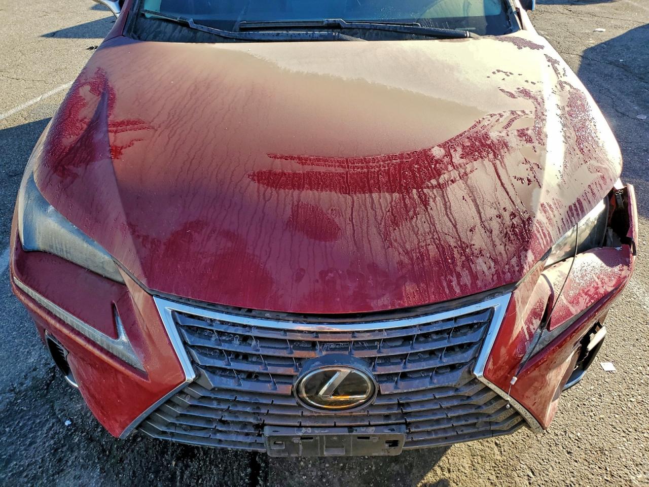 Lexus NX 300 Image 8