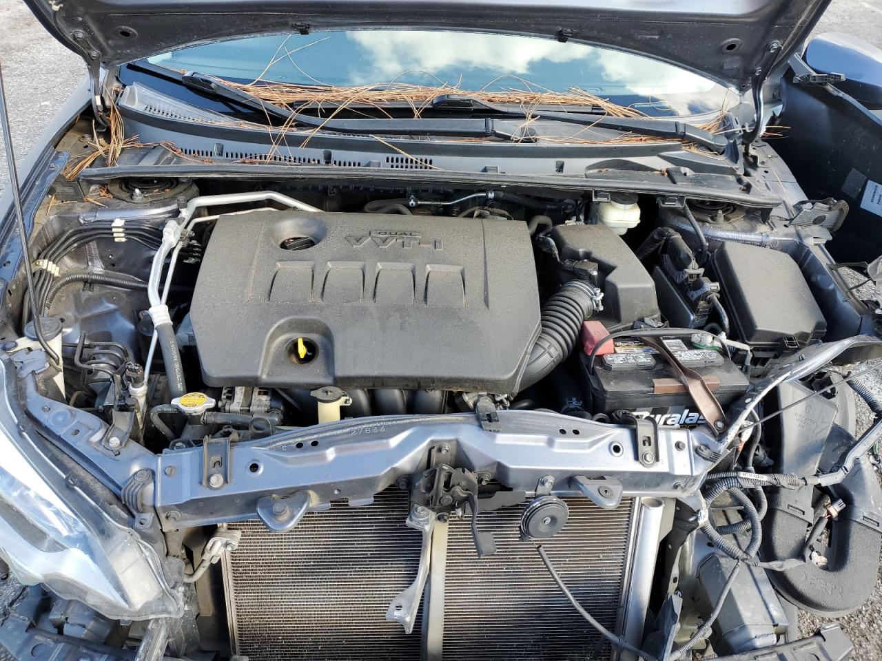 Toyota Corolla L Image 8