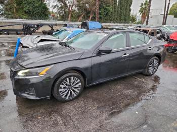 2025 Nissan Altima 1N4BL4DV6SN******