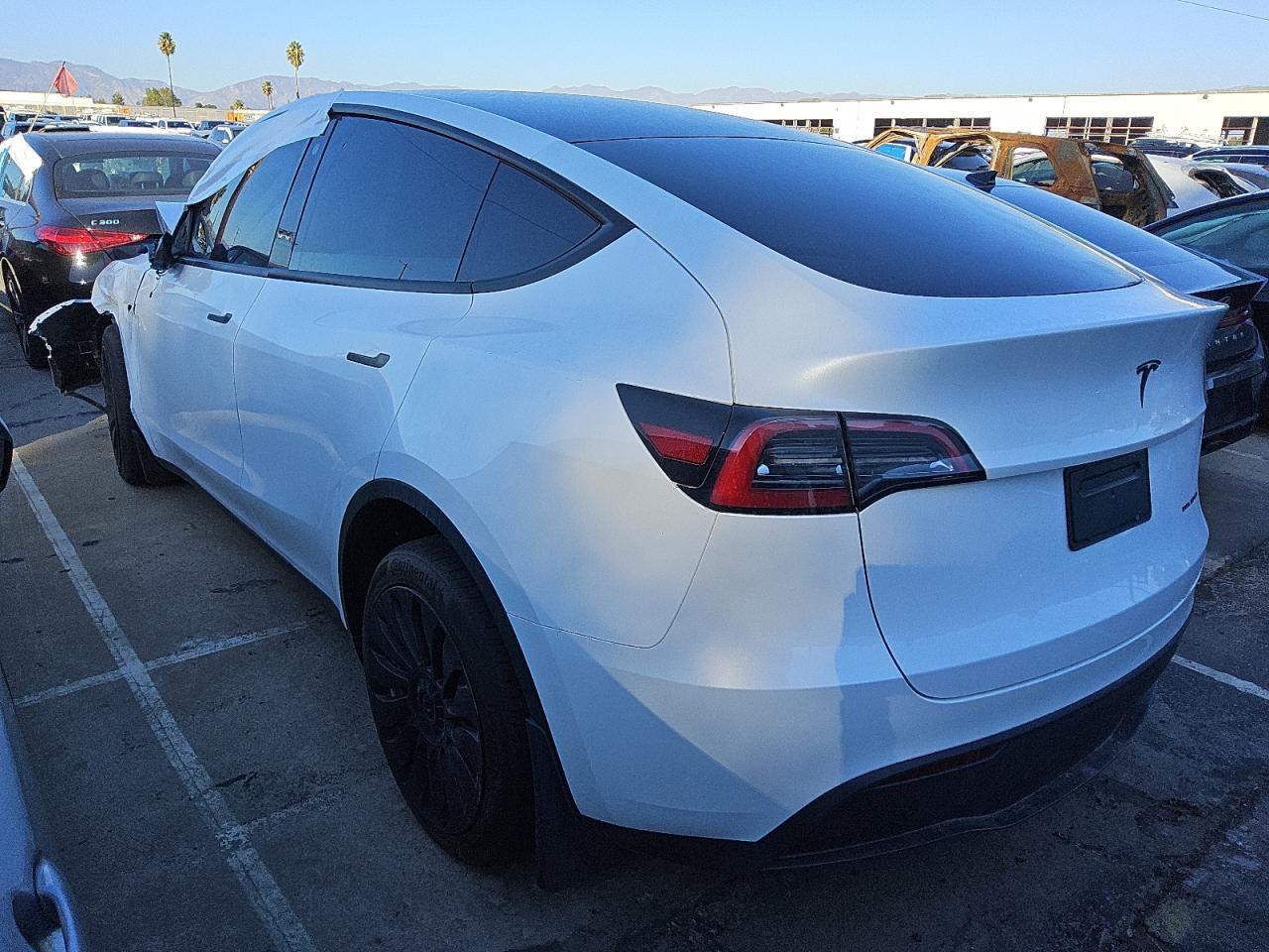 Tesla Model Y Image 10