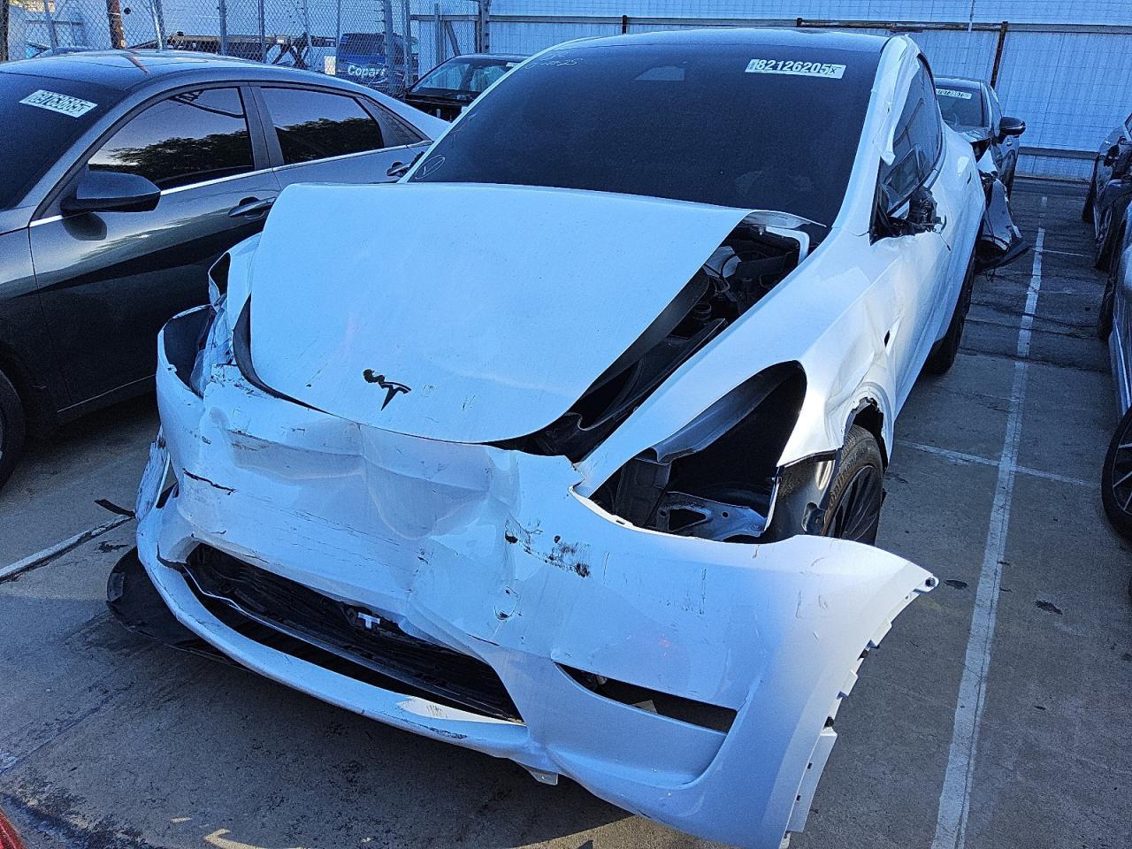 Tesla Model Y Image 8