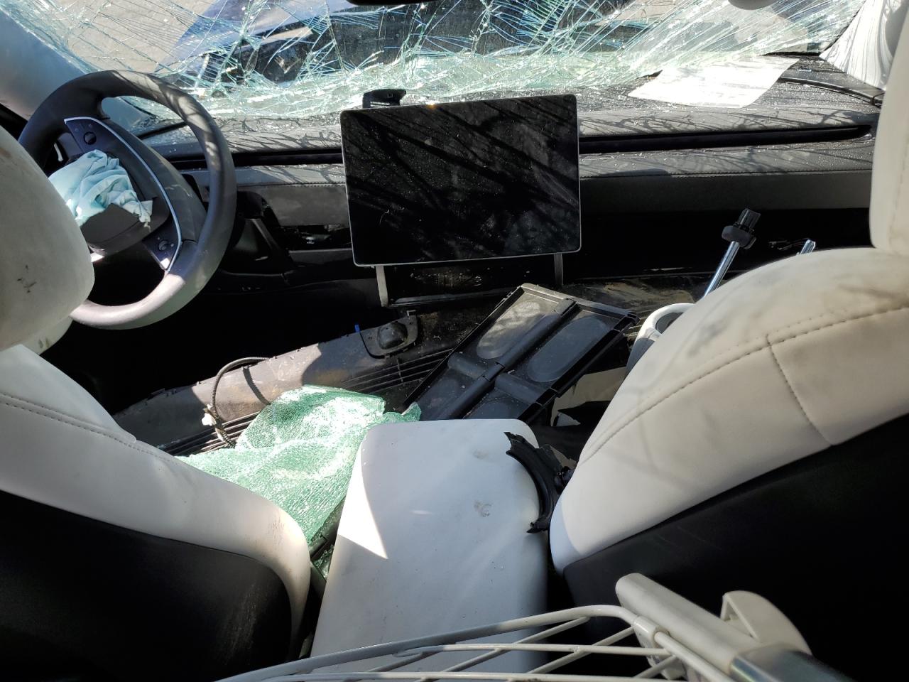 Tesla Model Y Image 11