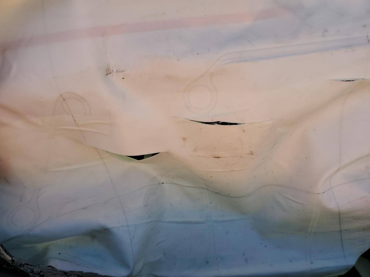 Tesla Model Y Image 2