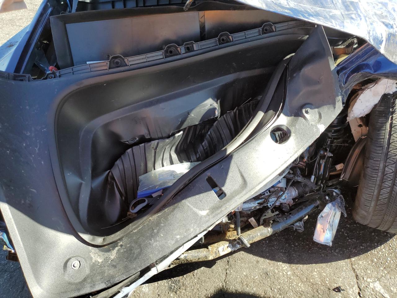 Tesla Model Y Image 8