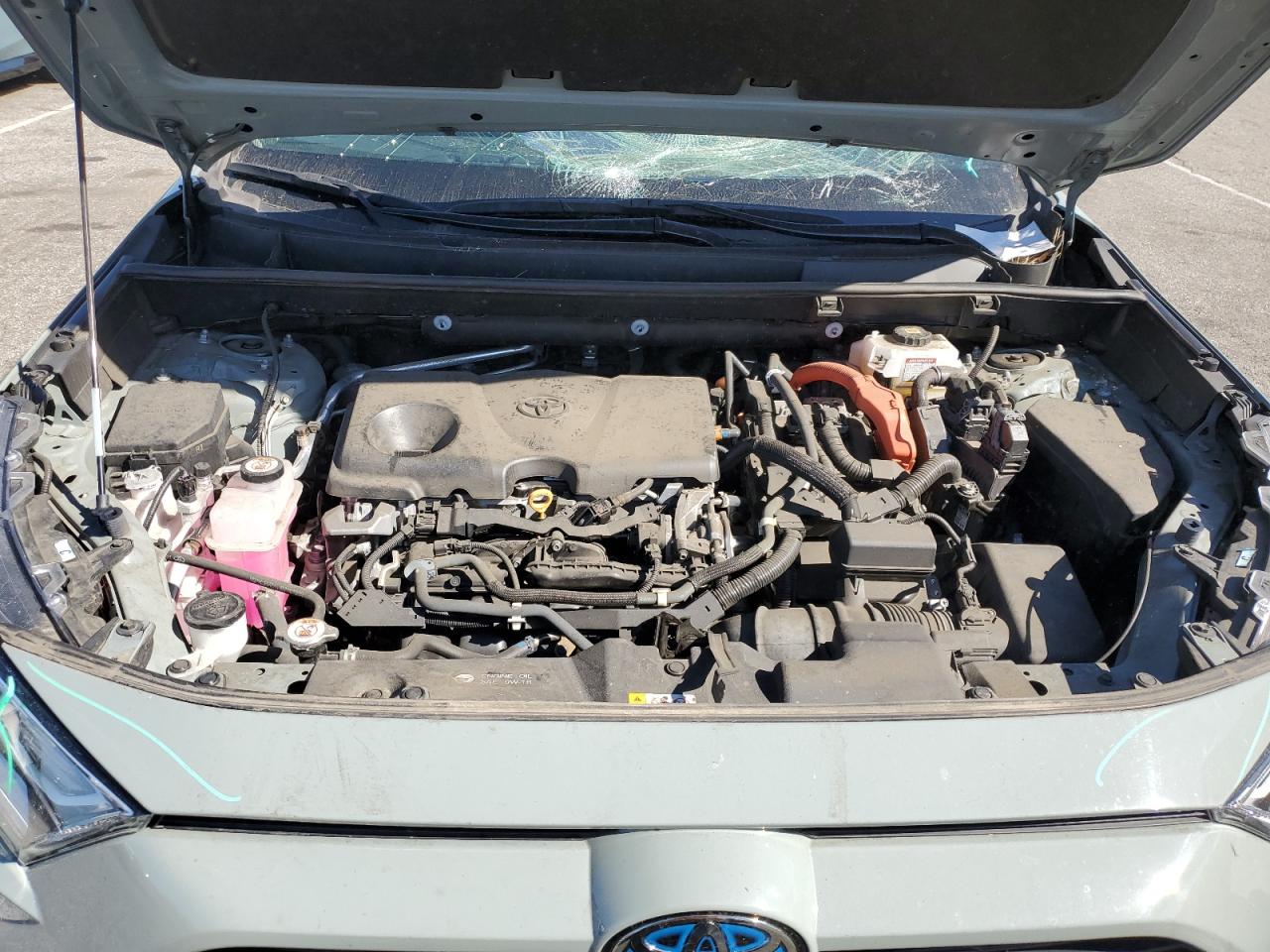 Toyota RAV4 Xle Image 12