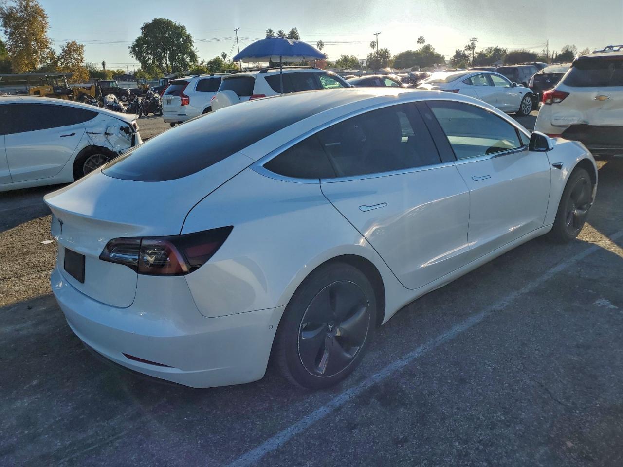 Tesla Model 3 Image 4