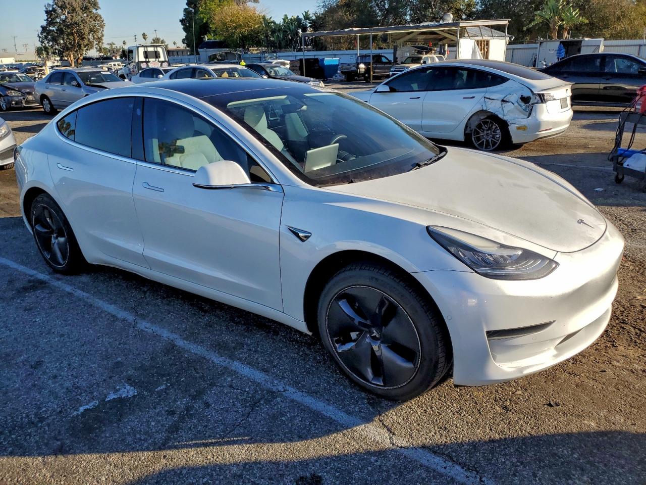 Tesla Model 3 Image 5