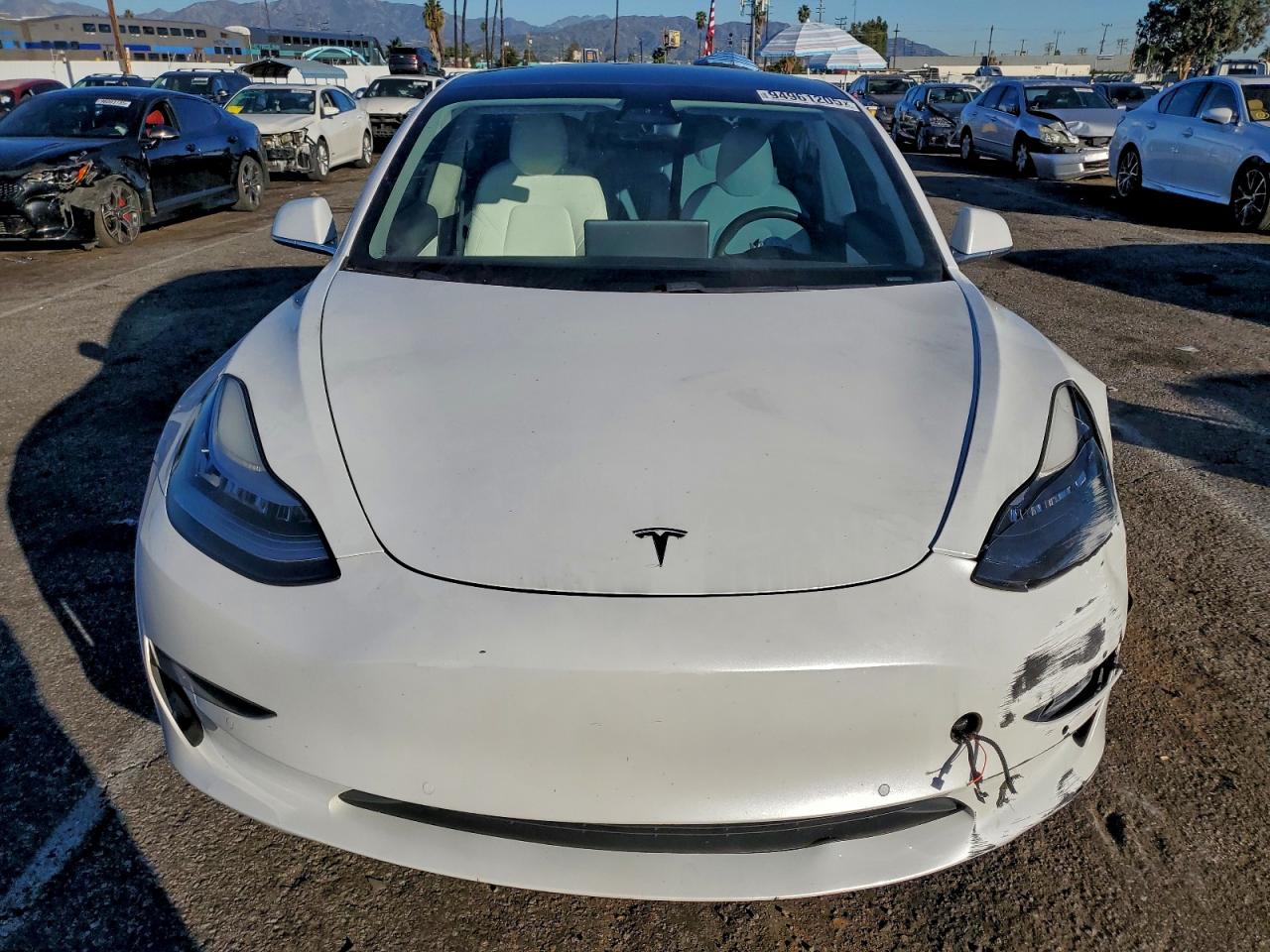 Tesla Model 3 Image 7