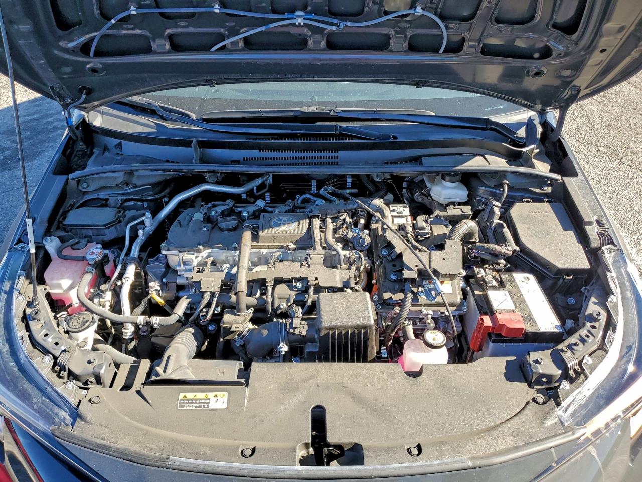 Toyota Corolla Le Image 8