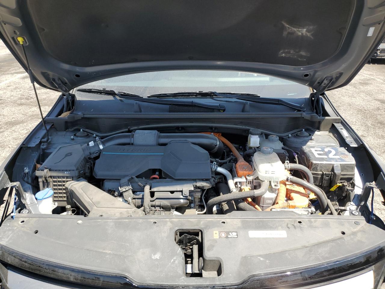 Kia Sportage X Line Image 10