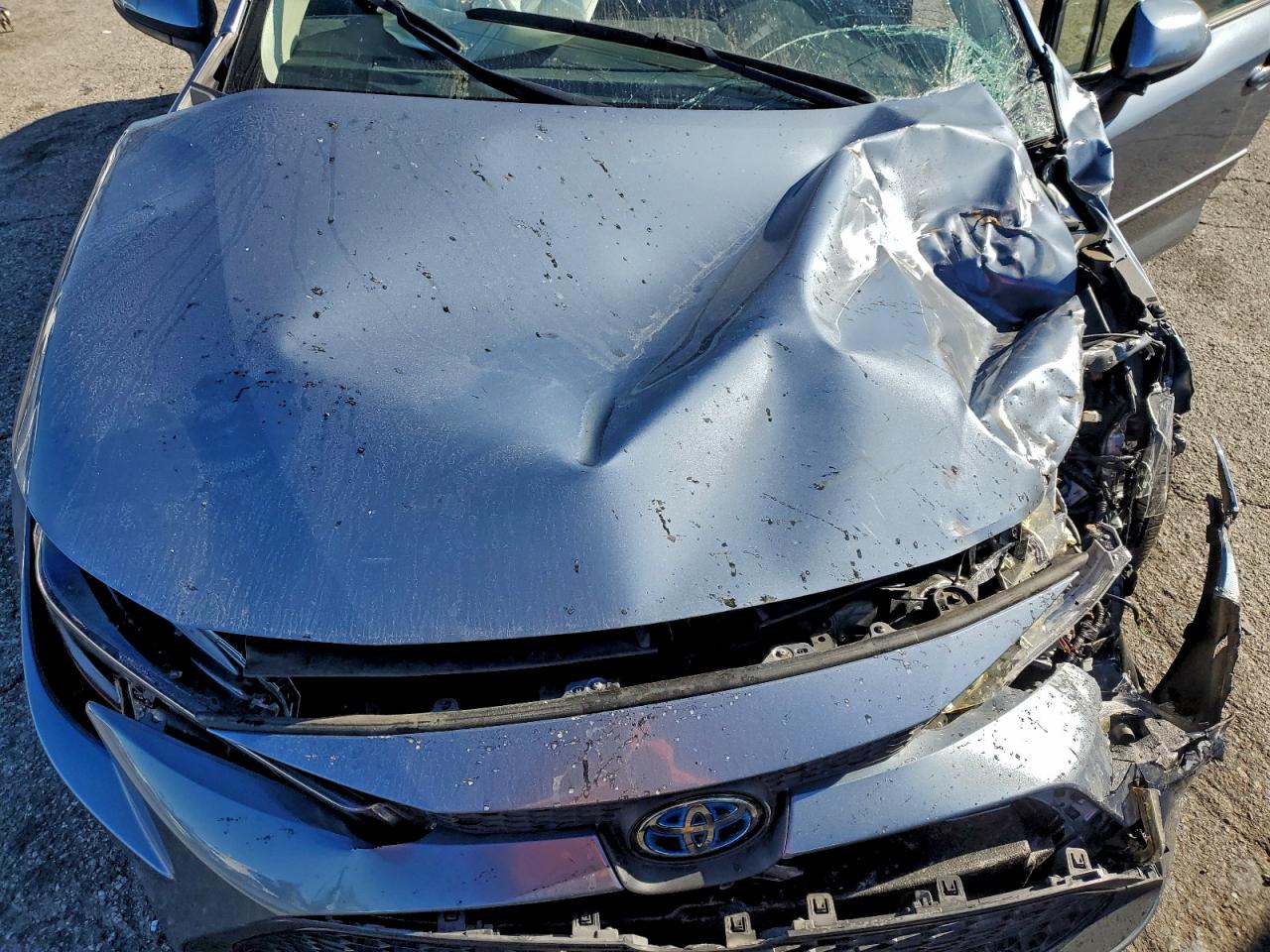 Toyota Corolla Le Image 9