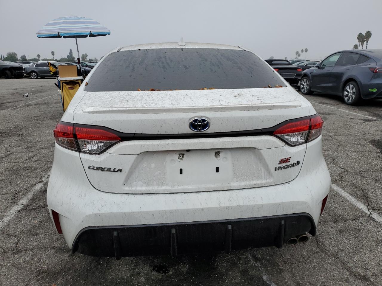 Toyota Corolla Le Image 7