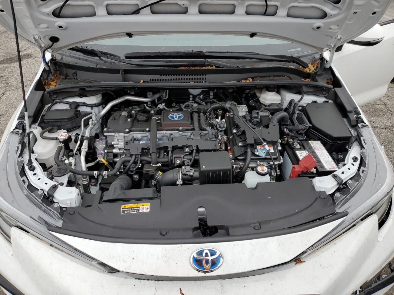 Toyota Corolla Le Image 10