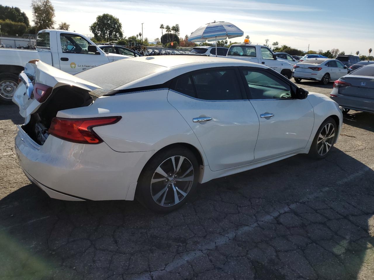 Nissan Maxima 3.5s Image 2