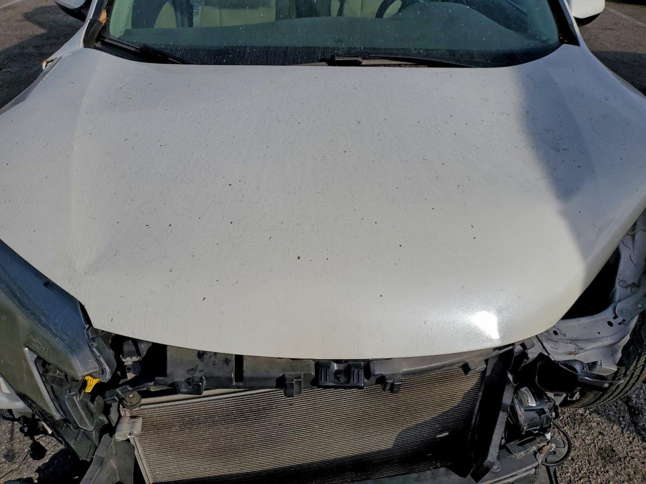 Honda Crv Ex Image 2