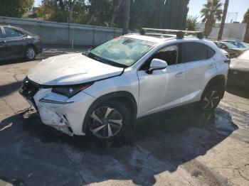  Salvage Lexus NX