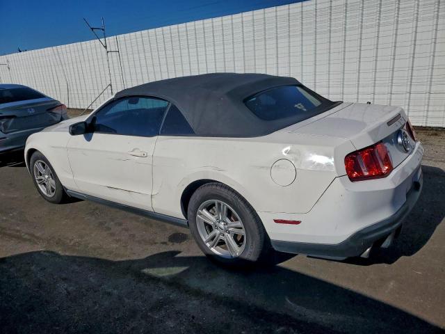Ford Mustang Image 3