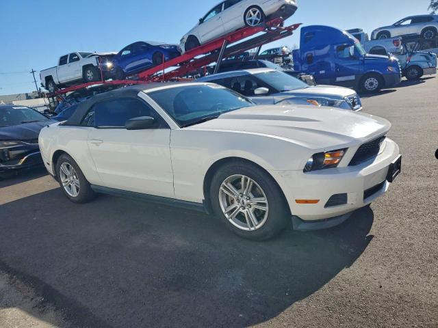 Ford Mustang Image 2