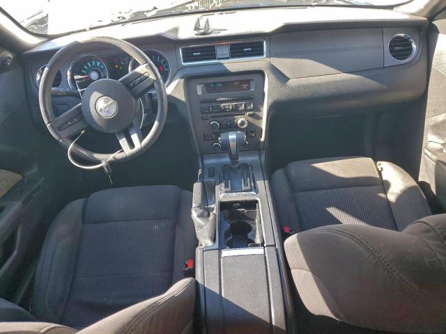 Ford Mustang Image 5