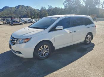  Salvage Honda Odyssey