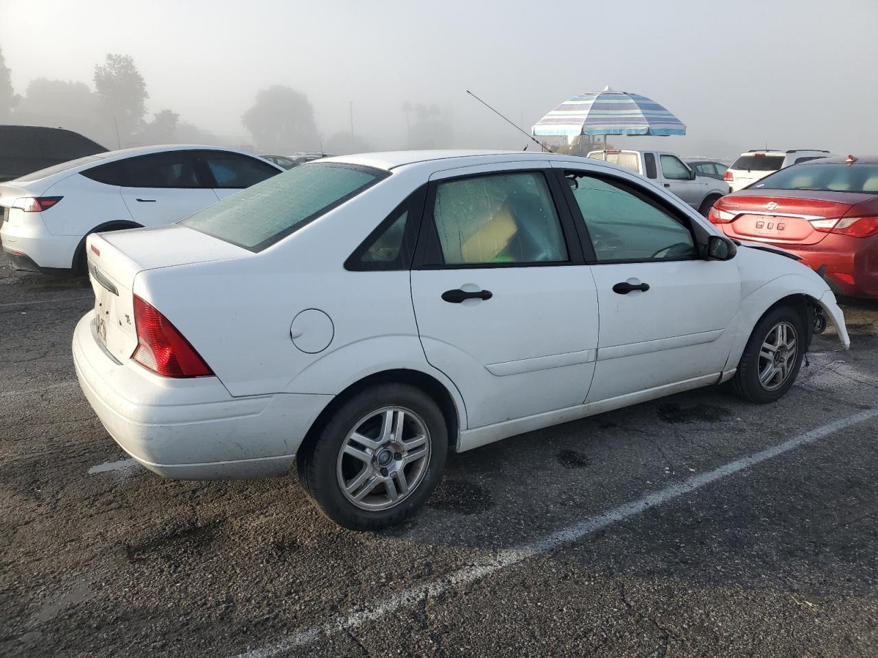 Ford Focus Se Comfort Image 3