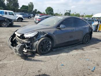 2021 Tesla Model Y 5YJYGAEE1MF******