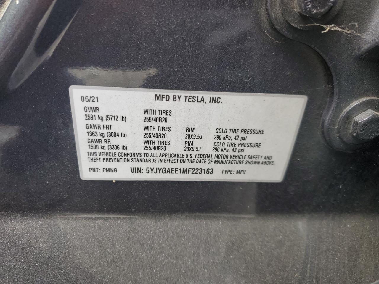 Tesla Model Y Image 7