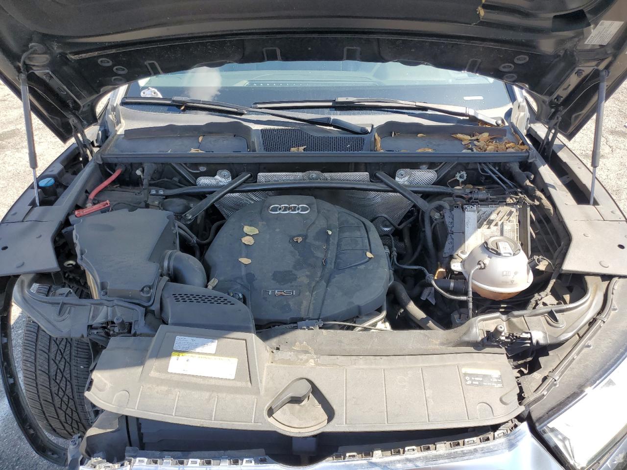 Audi Q5 Premium Plus Image 13